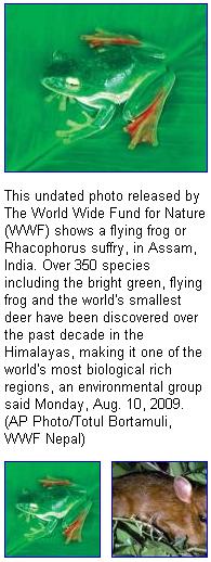 697d1251241895-350-new-species-found-in-himalayas-himalayas.jpg
