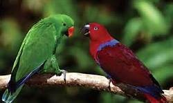 7394d1361057620-grihasti-jeevan-married-life-what-does-th.jpg
