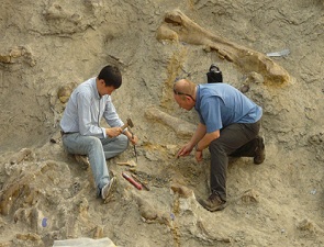 5767d1309652092-pigment-patterns-from-the-prehistoric-past-4493_csi-in-living-color-05_04700300.jpg