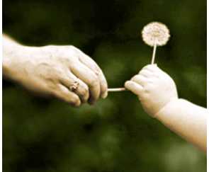 1233d1261598783-tis-season-giving-i-j-singh-sikh_givings002.jpg