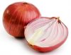 onion shortage india.jpg
