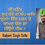 Katha on Joonis in Sikhism | Baljeet Singh Delhi