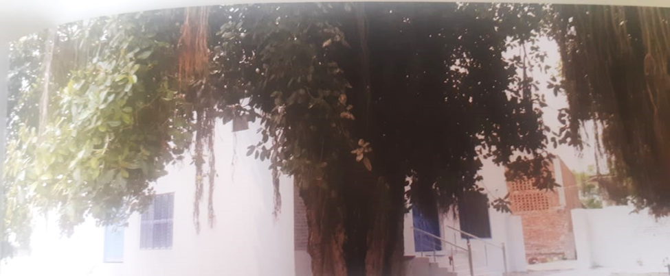 1699543492320.png