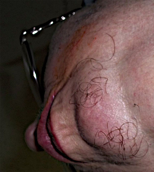 emerging beard 2014.jpg