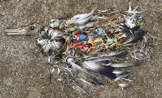 pacific-garbage-patch.jpg