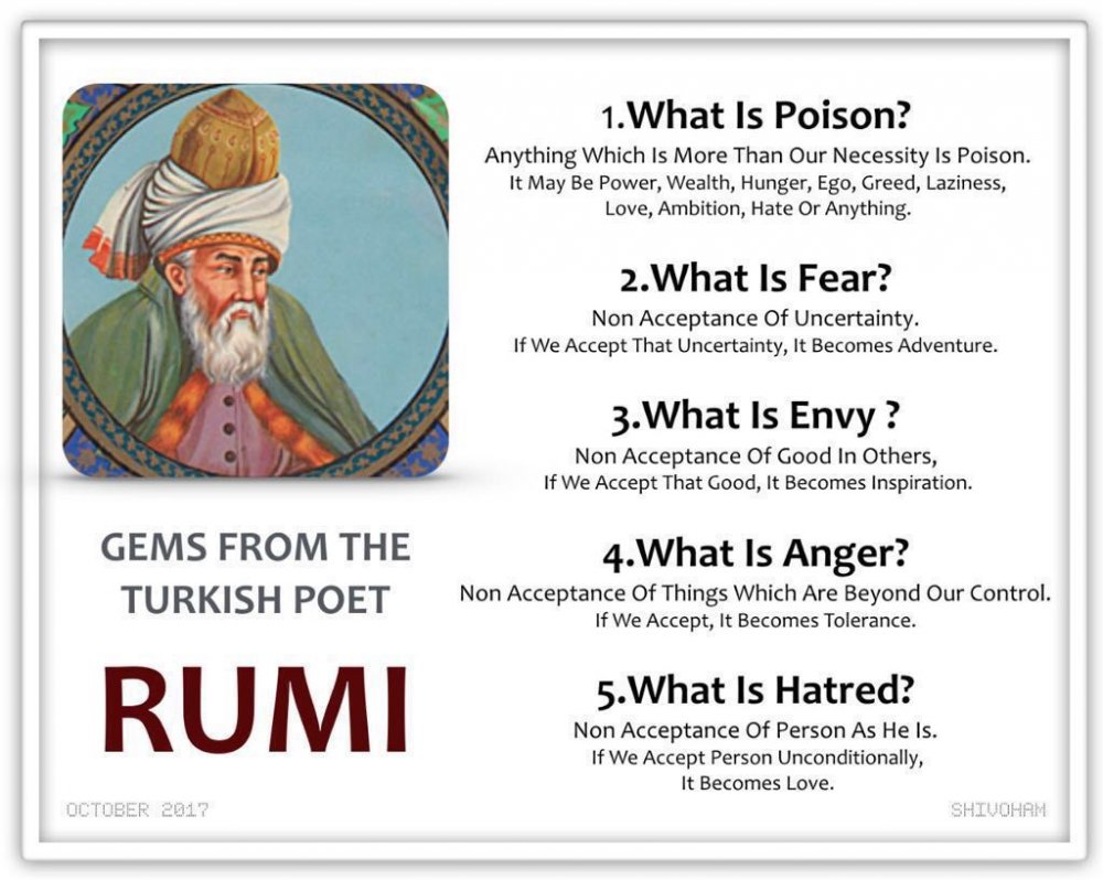 rumi.jpeg