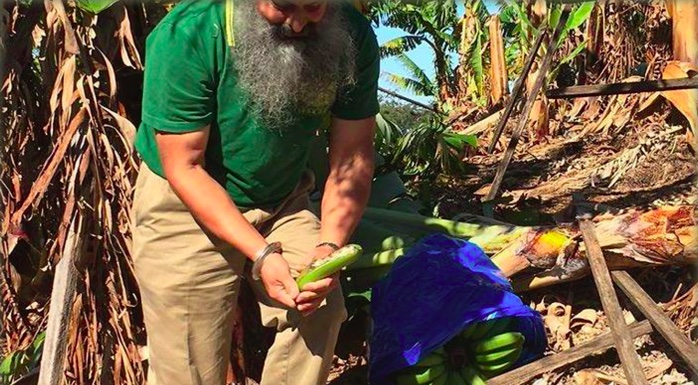 sikh-australia-banana.jpg