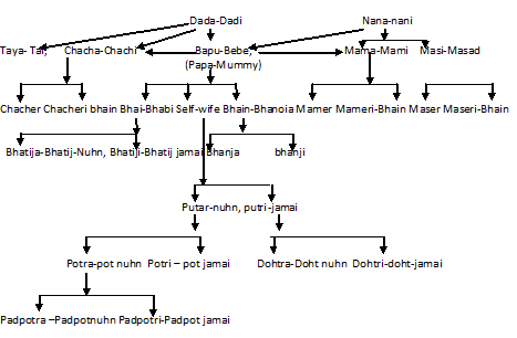 Family Relationship Chart In Hindi