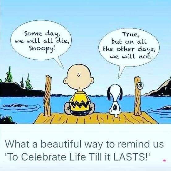WhatsApp Image 2018-09-21 at 11.33.12 AM.jpeg