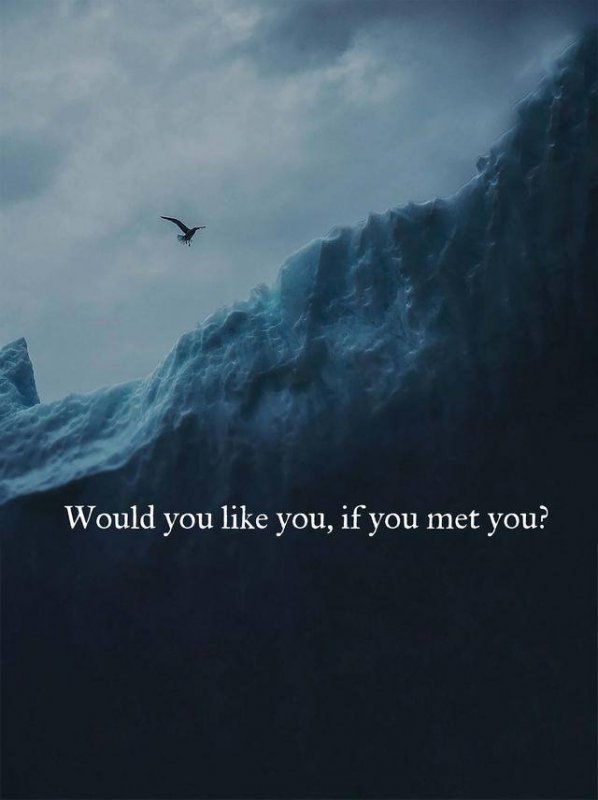 you.jpg