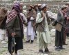 talibanr56.jpg