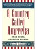 a_country_called_amreeka_by_alia_malek.jpg