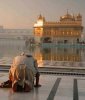 sikh_bowing_golden_temple.jpg