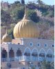 sikh_gurdwara_brampton_ontario.jpg