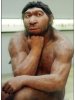 neanderthal.jpg