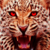 Angry-Cheetah-cheetah-37639174-300-300.png