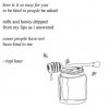 milk-honey1.jpg
