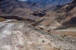 Deer crossing the Manali Leh Road.jpg