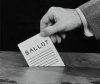 vote.jpeg