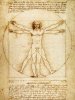 vitruvian man.jpg