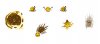 Smiley Faces.jpg