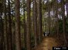 s-KUMANO-large300.jpg