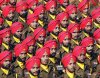 sikhs-british-army.jpg