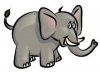 elephanttoon.jpg