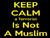 keep-calm-a-terrorist-is-not-a-muslim.png