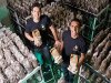 0326_mushrooms_630x420.jpg