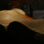Darbar Sahib - The Golden Temple, Amritsar