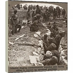 Sikh infantry in the British army digging communication trenches and laying cables to connect up advanced positions Date circa 1917