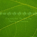 3326d1206558823 wallpapers with gurbani tuk har har