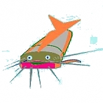WHISKERS

The hero from the despised, bottom-feeding catfish