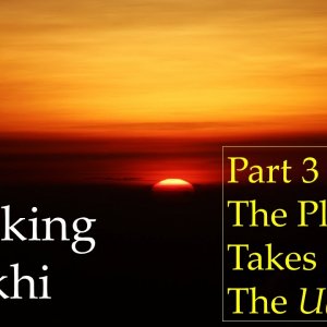 Hijacking of Sikhi - Part 3 - Dr Karminder Singh