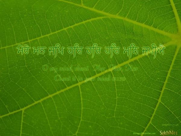 3326d1206558823 wallpapers with gurbani tuk har har