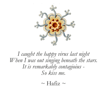 hafiz3