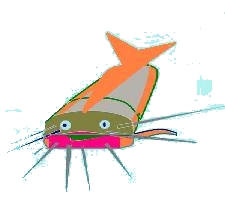 WHISKERS

The hero from the despised, bottom-feeding catfish