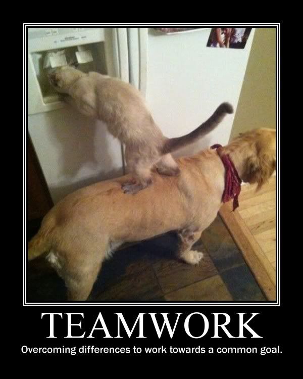 teamwork.jpg