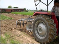 _42228548_tractor_203.jpg