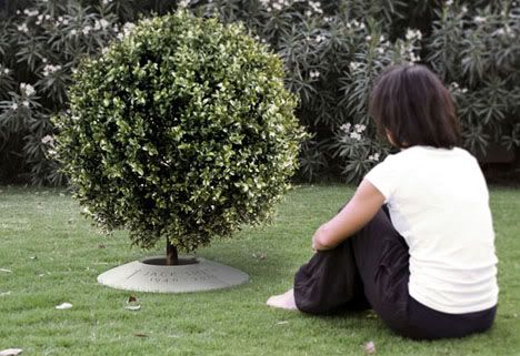 poetree2.jpg