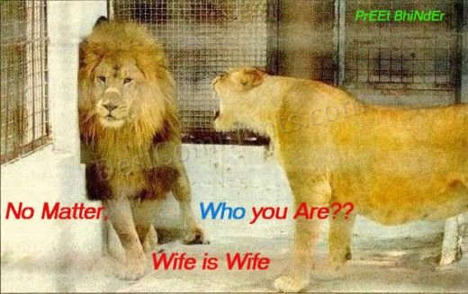 wife-520x327.jpg