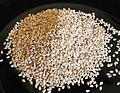 120px-Sesame-Seeds.jpg