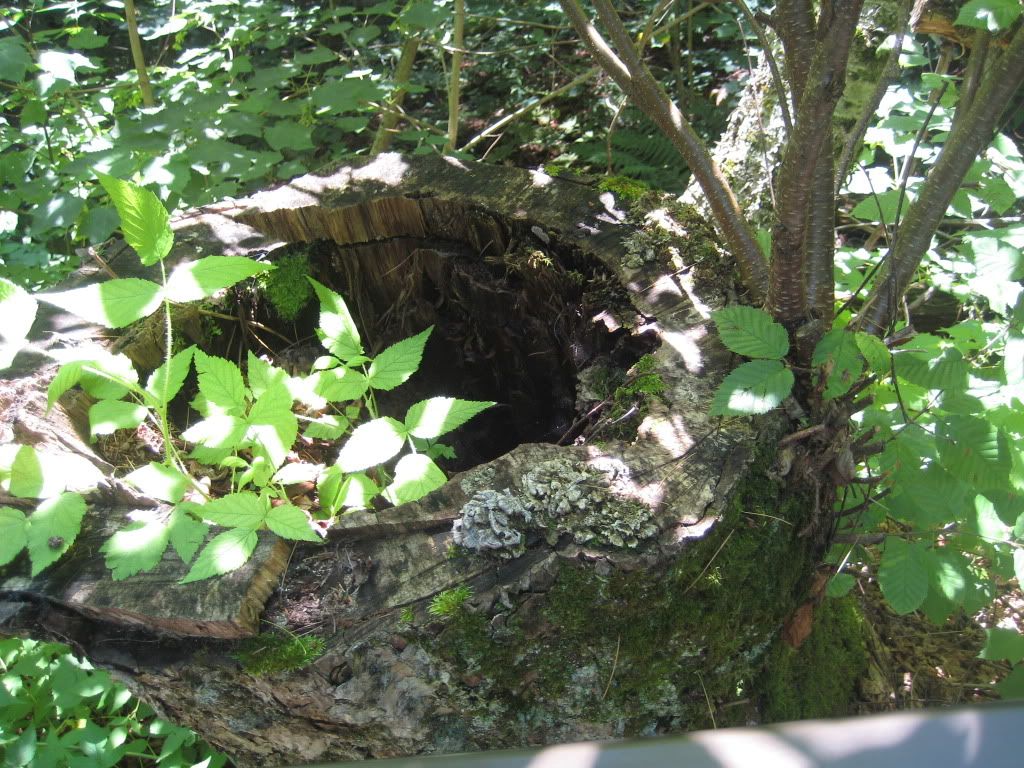 IMG_1463.jpg