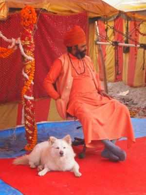 Dog-loving-babas-of-Juna-Akhada-advocate-adoption-of-street-dogs.jpg