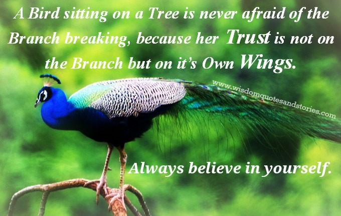 bird-trust-its-wings.jpg